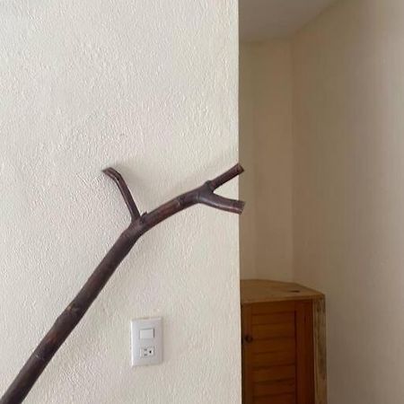 Habitacion Istmo #7 Brisas de Zicatela ภายนอก รูปภาพ